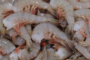 Fresh From Florida white shrimp caught off Ponce Inlet by a local shrimper